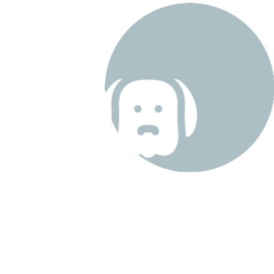 pet physical exam icon