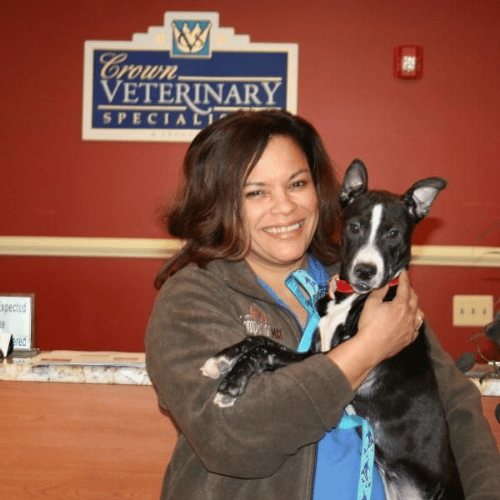 Dr. Wendy Ross