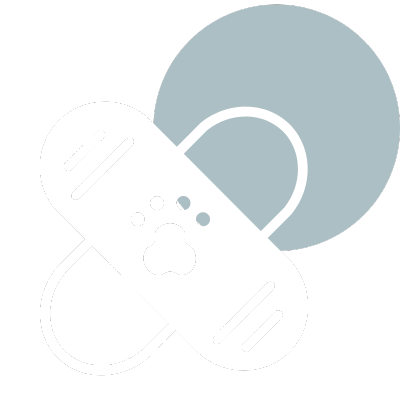 pet vaccines icon