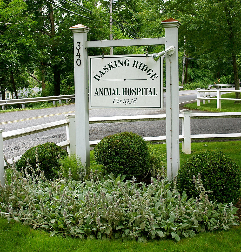 Basking-Ridge-Animal-Hospital sign board