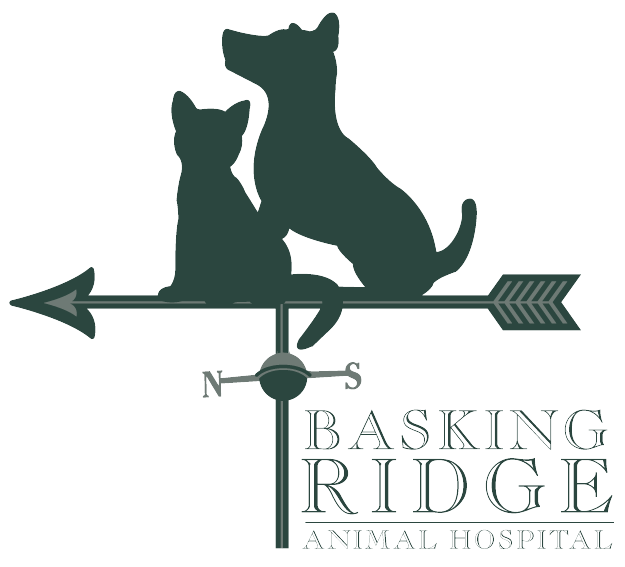 Basking Ridge Animal Hospital logo
