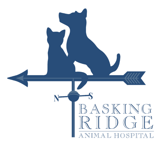 Basking Ridge Animal Hospital logo