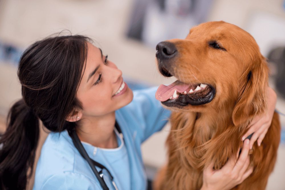 woman vet holding a dog and smiling